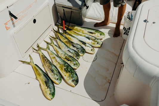 8-Hour Offshore Fishing Charter